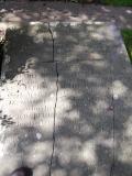 image of grave number 796411